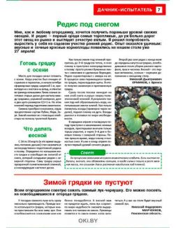 Ежемалина — достойное дитя сладкой парочки 19 / 2021 Сад, огород — кормилец и лекарь