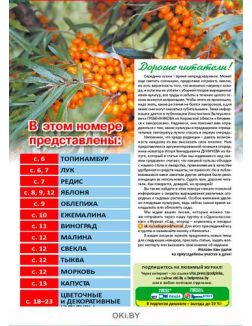 Ежемалина — достойное дитя сладкой парочки 19 / 2021 Сад, огород — кормилец и лекарь