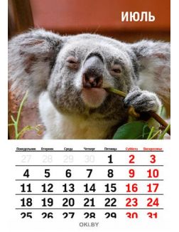 Календарь перекидной «Забавные животные» на 2022 год А4