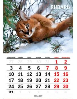 Календарь перекидной «Забавные животные» на 2022 год А4