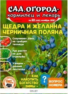 Щедра и желанна черничная поляна 22 / 2021 Сад, огород — кормилец и лекарь