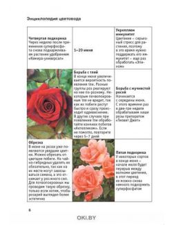 Розы в вашем саду 12 / 2021 Спецвыпуск «Сад огород - кормилец и лекарь»