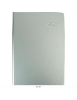 Ежедневник 2022 год А5 176 листов Paragraph Серебро обложка иск. кожа soft touch