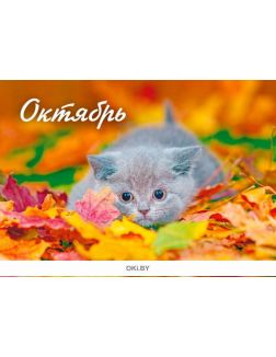 Календарь перекидной «Любимые котята» на 2022 год А4