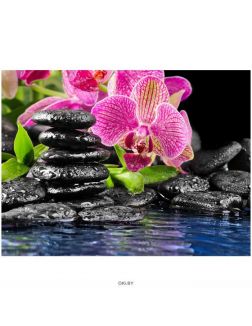Мозаика алмазная (живопись) Орхидея у воды 40х50 см Darvish