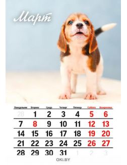 Календарь перекидной «Очаровательные щенки» на 2022 год А4