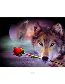 Набор для творчества «Рисование по номерам» «Волк с розой», 40х50 см