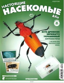 Настоящие насекомые № 61 / 2021