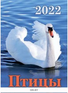 Календарь перекидной «Птицы» на 2022 год А4