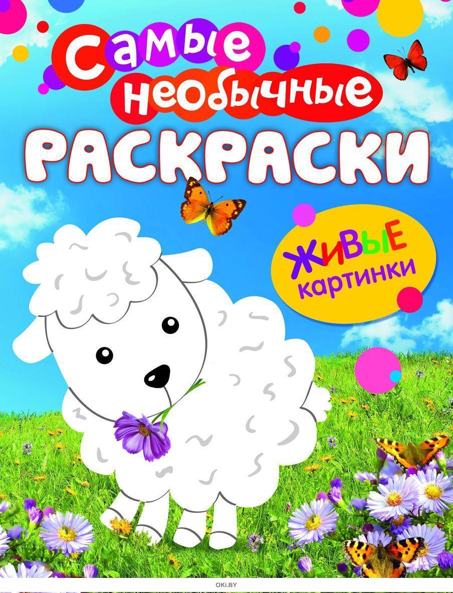 ОВЕЧКА. SHEEP.