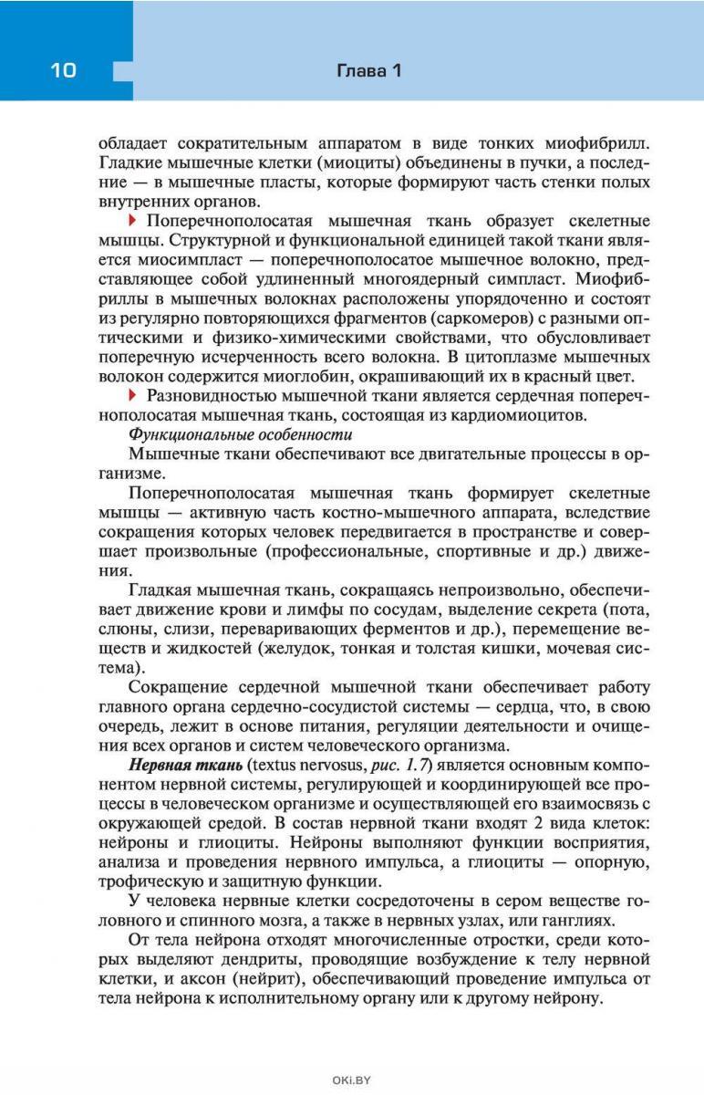 Купить Атлас анатомии и физиологии человека. Учебное пособие для студентов  учреждений среднего профессионального образования | Самусев Рудольф,  Сентябрев Николай в Минске в Беларуси | Стоимость: за 55.29 руб.