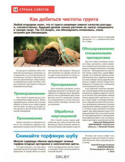 Сад огород — кормилец и лекарь № 04 / 2022. Секреты огуречных семян