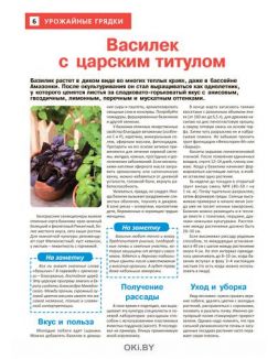 Сад огород — кормилец и лекарь № 04 / 2022. Секреты огуречных семян