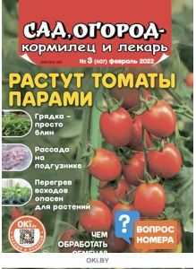 Сад огород — кормилец и лекарь № 03 / 2022. Растут томаты парами