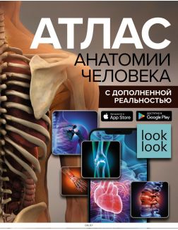 Атлас анатомии человека с дополненной реальностью | Спектор Анна