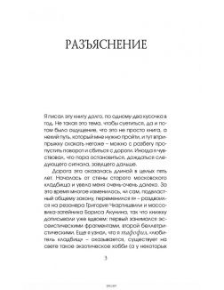 Кладбищенские истории | Акунин Борис, Чхартишвили Григорий