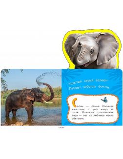 Развивающая книга «Слон» | Волкова Наталия Геннадьевна