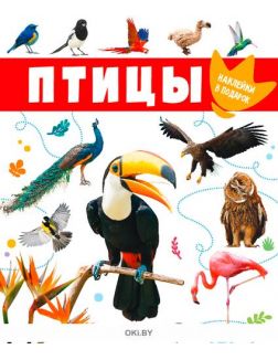 Энциклопедия с наклейками «Птицы» и летающая птица в ассортименте