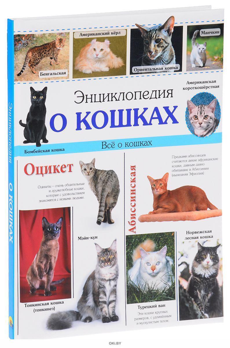 Книги о кошках. Энциклопедия. Кошки. Книги про кошек. Книга про породы кошек. Энциклопедия кошек книга.