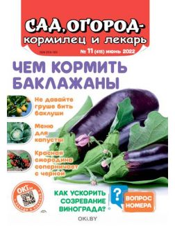 Сад огород — кормилец и лекарь № 11 / 2022. Чем кормить баклажаны