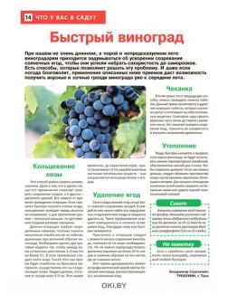 Сад огород — кормилец и лекарь № 11 / 2022. Чем кормить баклажаны