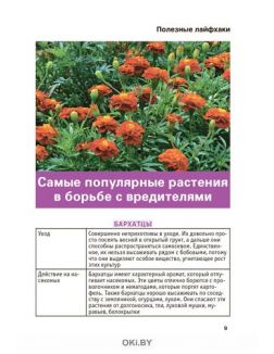 «Сад огород - кормилец и лекарь» Спецвыпуск № 07 / 2022. Горькие огурцы и кислая почва