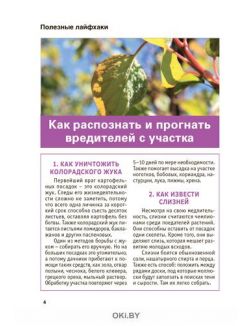 «Сад огород - кормилец и лекарь» Спецвыпуск № 07 / 2022. Горькие огурцы и кислая почва