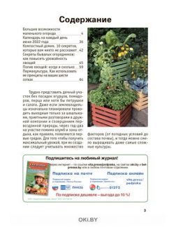 «Сад огород - кормилец и лекарь» Спецвыпуск № 06 / 2022. Маленький участок, большой урожай