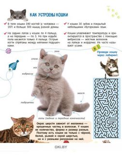 Игровой журнал с наклейками «Коты» и два блокнота с котиками