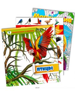 Энциклопедии «Птицы» и раскраска с заданиями «Магические узоры»