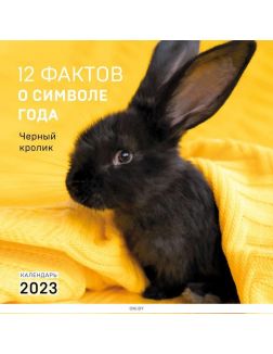 Календарь настенный перекидной на 2023 год «12 фактов о символе года. Чёрный кролик» (300х300 мм)