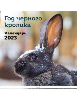 Календарь настенный перекидной на 2023 год «Год чёрного кролика» (300х300 мм)