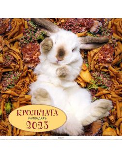 Календарь настенный на 2023 год, (300х300 мм) «Крольчата»