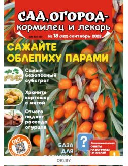Сад огород — кормилец и лекарь № 18 / 2022. Сажайте облепиху парами