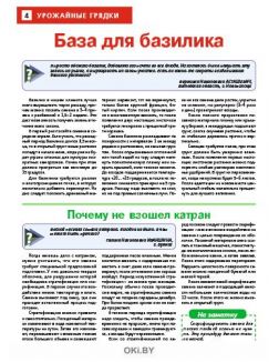 Сад огород — кормилец и лекарь № 18 / 2022. Сажайте облепиху парами