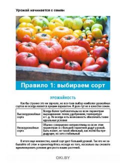 «Сад огород - кормилец и лекарь» Спецвыпуск № 09 / 2022. От семян до урожая