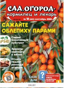 Сад огород — кормилец и лекарь № 18 / 2022. Сажайте облепиху парами
