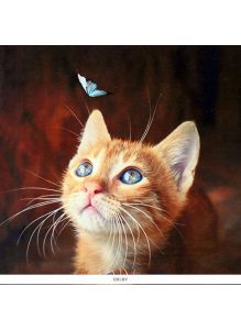 Алмазная живопись 30*30см Котёнок с бабочкой (арт. DV-13760-17)