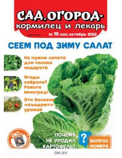 Сад огород — кормилец и лекарь № 19 / 2022. Сеем под зиму салат