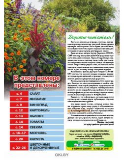 Сад огород — кормилец и лекарь № 19 / 2022. Сеем под зиму салат