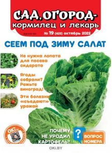 Сад огород — кормилец и лекарь № 19 / 2022. Сеем под зиму салат