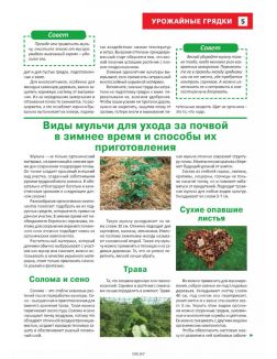 Сад огород — кормилец и лекарь № 01 / 2023. Чуфа на грядке - здоровье в порядке