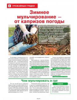 Сад огород — кормилец и лекарь № 01 / 2023. Чуфа на грядке - здоровье в порядке
