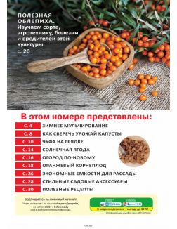 Сад огород — кормилец и лекарь № 01 / 2023. Чуфа на грядке - здоровье в порядке