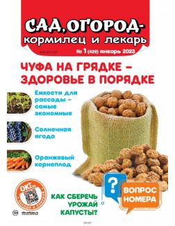 Сад огород — кормилец и лекарь № 01 / 2023. Чуфа на грядке - здоровье в порядке