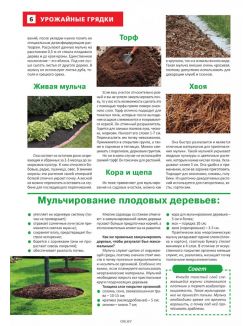 Сад огород — кормилец и лекарь № 01 / 2023. Чуфа на грядке - здоровье в порядке