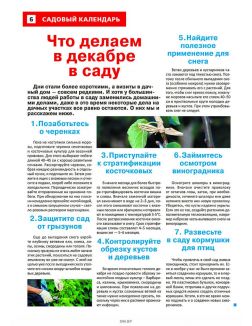 Сад огород — кормилец и лекарь 17 / 2023