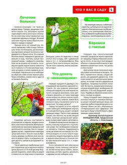 Сад огород — кормилец и лекарь 17 / 2023