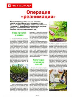Сад огород — кормилец и лекарь 17 / 2023