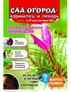 Сад огород — кормилец и лекарь 17 / 2023